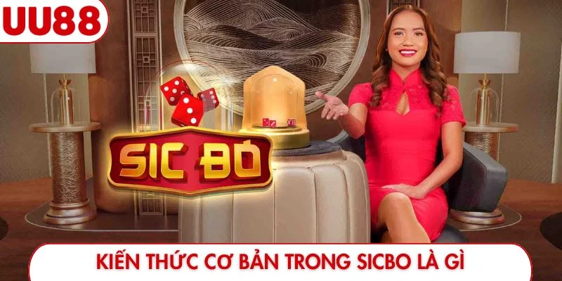 Kiến thức cơ bản trong Sicbo là gì
